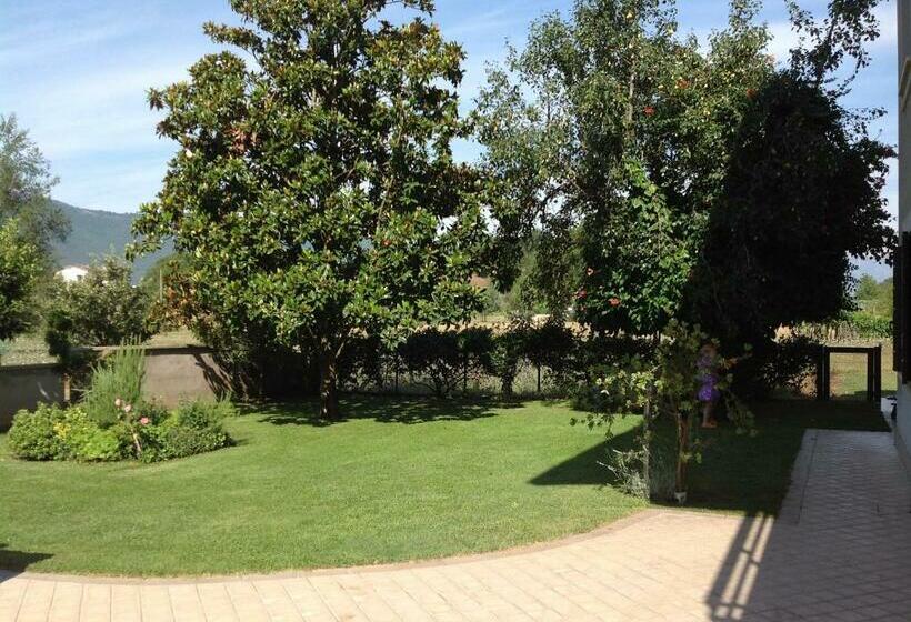 B&b Il Pero E L'edera