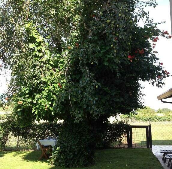 B&b Il Pero E L'edera