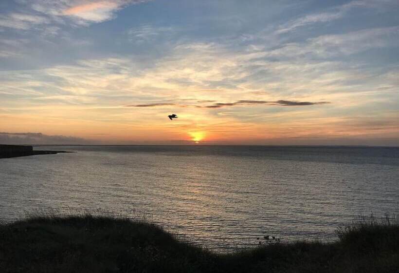 مبيت وإفطار Ferme Hay Day