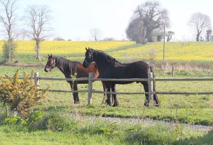 مبيت وإفطار Ferme Hay Day