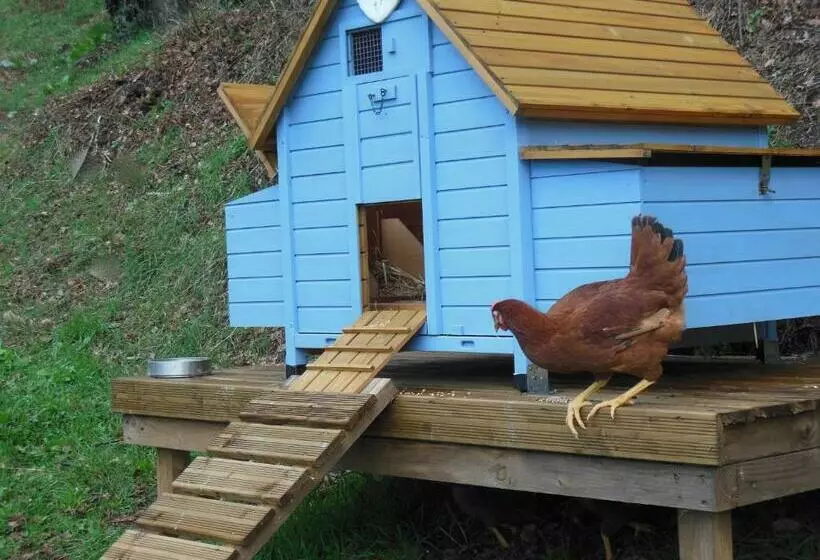 ベッドアンドブレックファースト Le Couvent