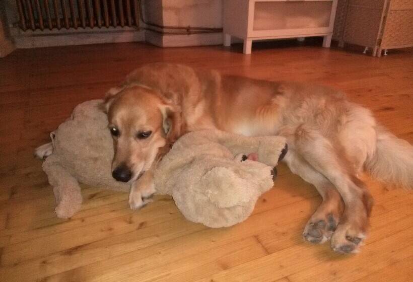 住宿加早餐 Le Marais Picotin