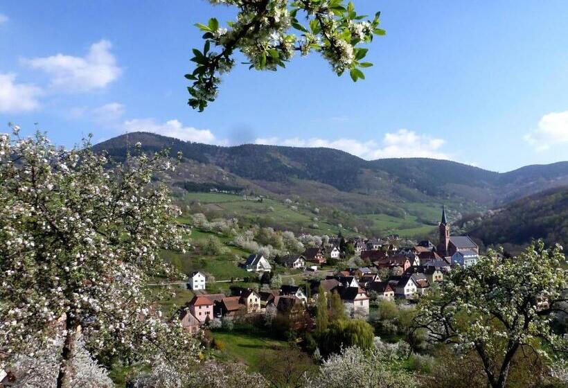 住宿加早餐  Maison D Hôtes La Cerisaie