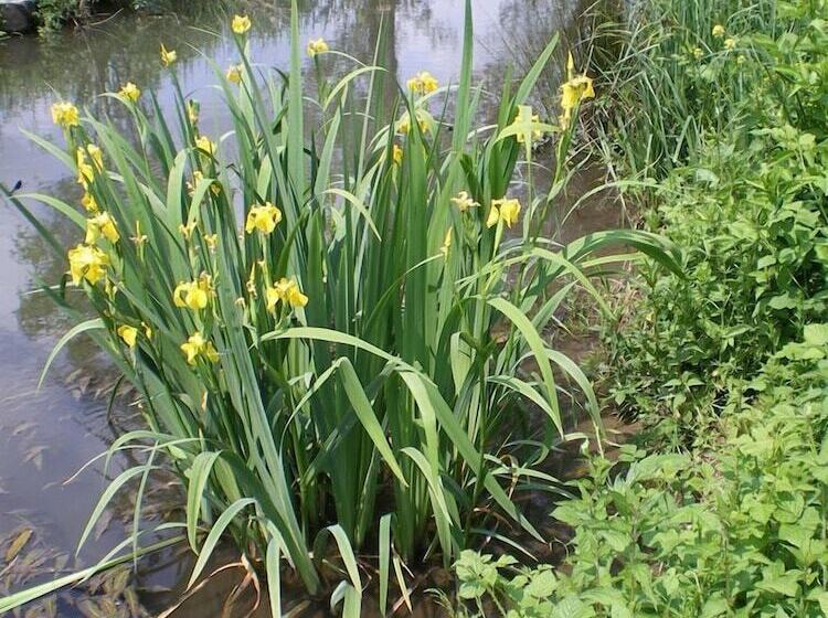 צימר Moulin Du Treuil  Chambres D Hotes
