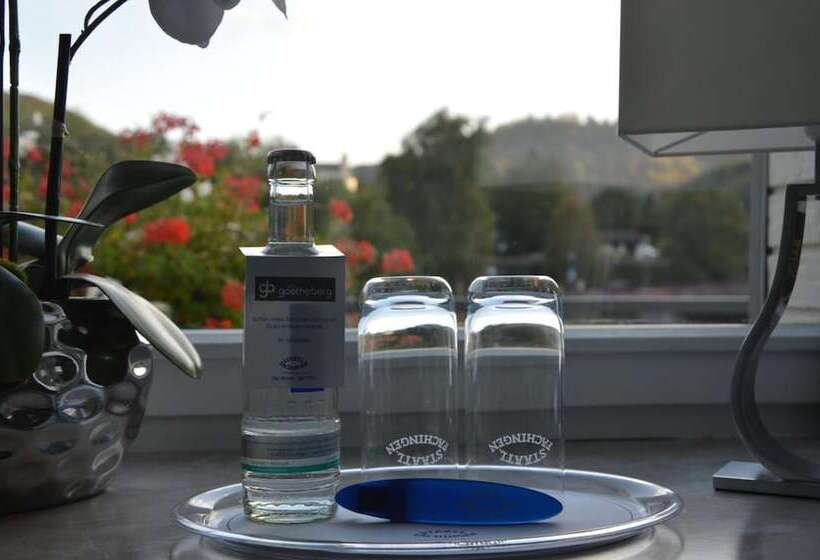 호텔 Am Goetheberg