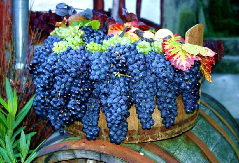 호텔 Am Goetheberg