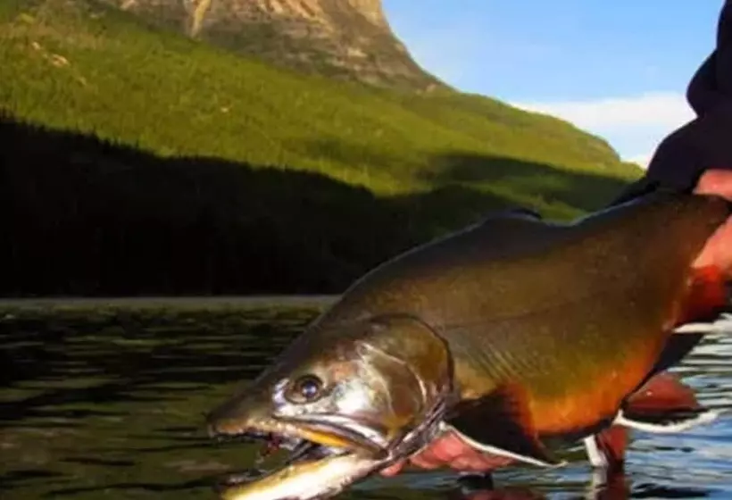 Hotelli Fortress Lake Wilderness Retreat