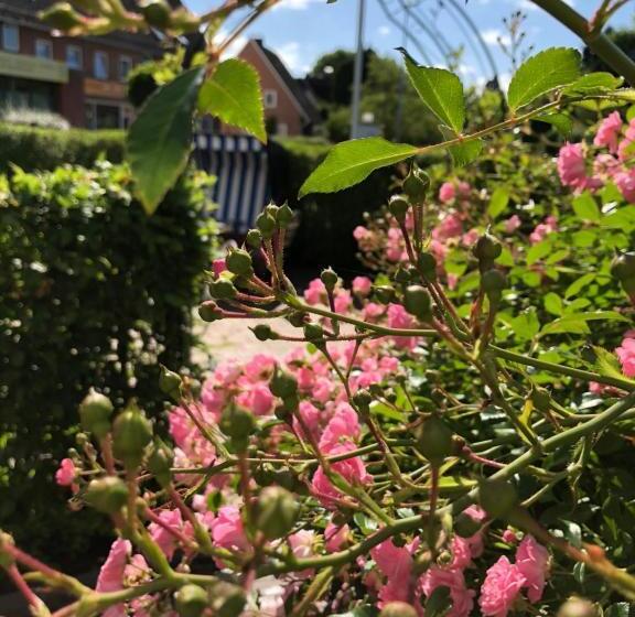 酒店 Klausdorfer Hof