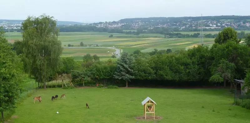 Hotelli Landgasthof Schrüfer