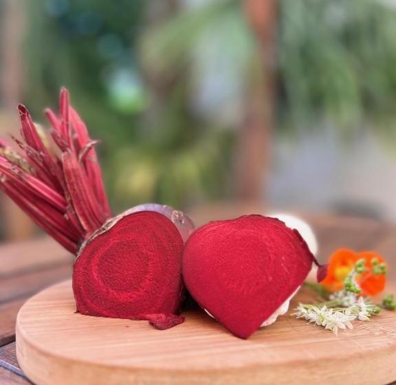 פנסיון Les Tuileries De Chanteloup