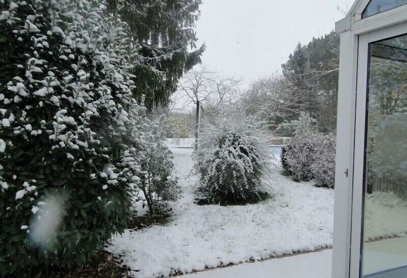 بنسيون Ma Pousada