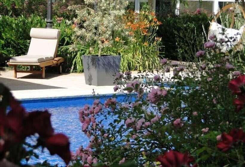 بنسيون Ma Pousada