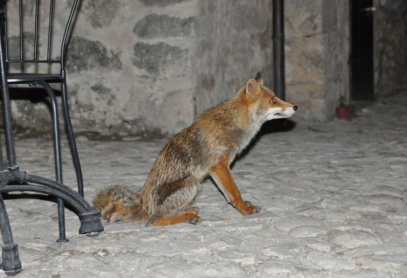 ペンション Rifugio Della Rocca