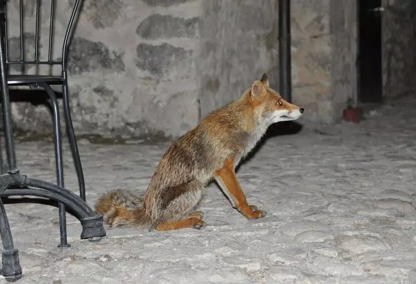 Majatalo Rifugio Della Rocca