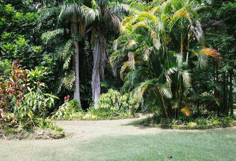 Sanctuary In The Pocket