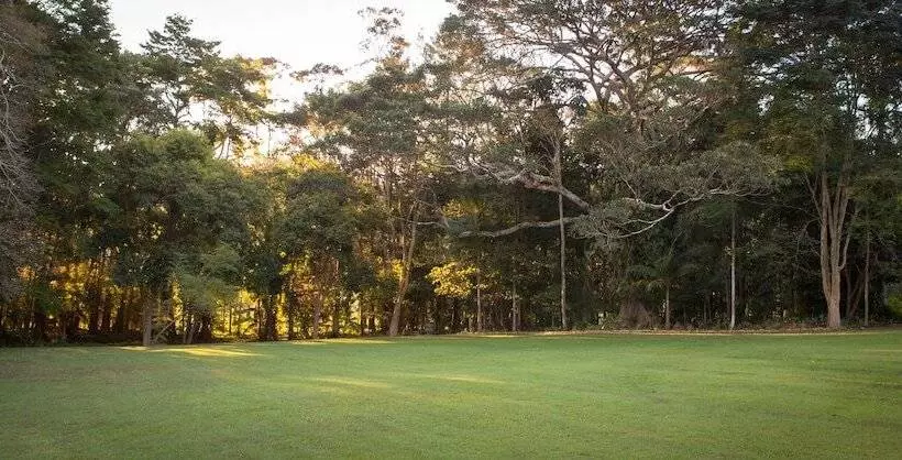 Sanctuary In The Pocket