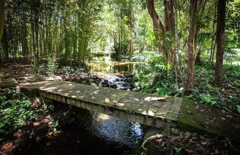 Sanctuary In The Pocket