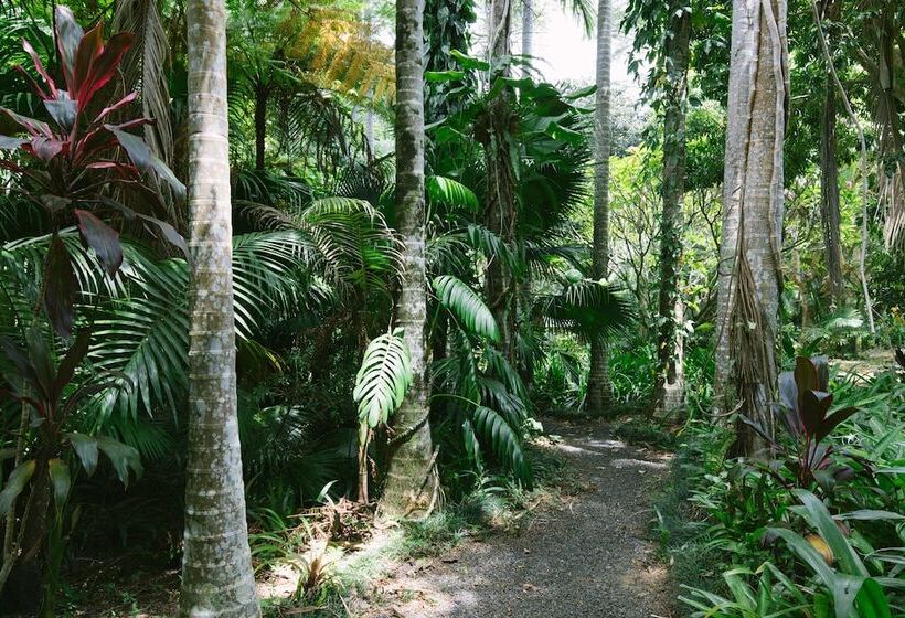 Sanctuary In The Pocket