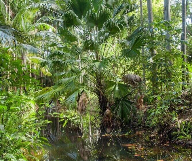 Sanctuary In The Pocket