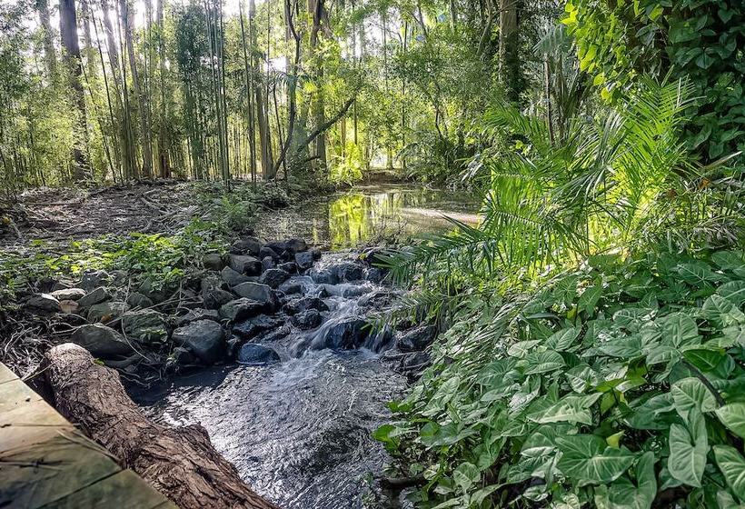 Sanctuary In The Pocket