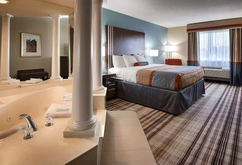 酒店 Best Western Plus Washington