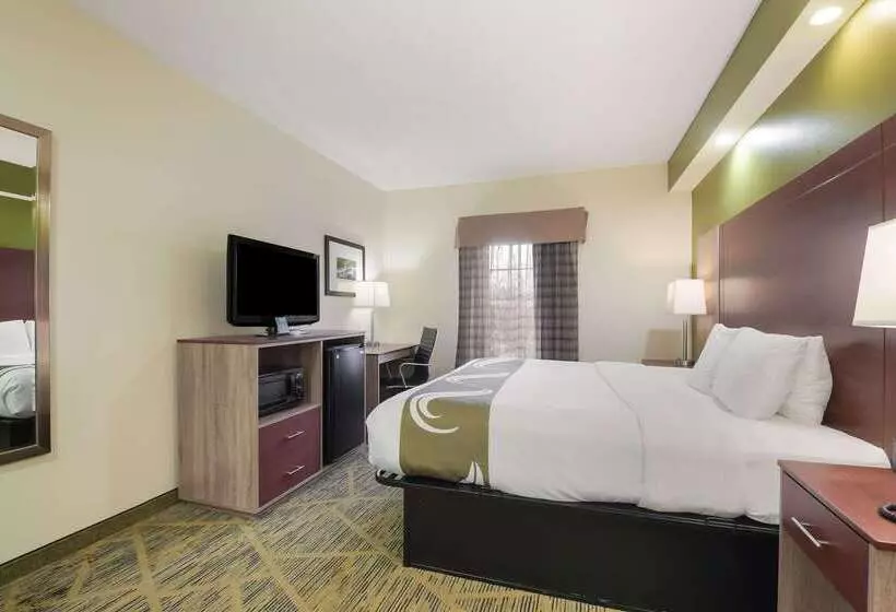Отель Quality Inn Alcoa Knoxville