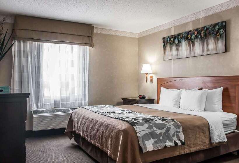 هتل Sleep Inn & Suites Conference Center And Water Park