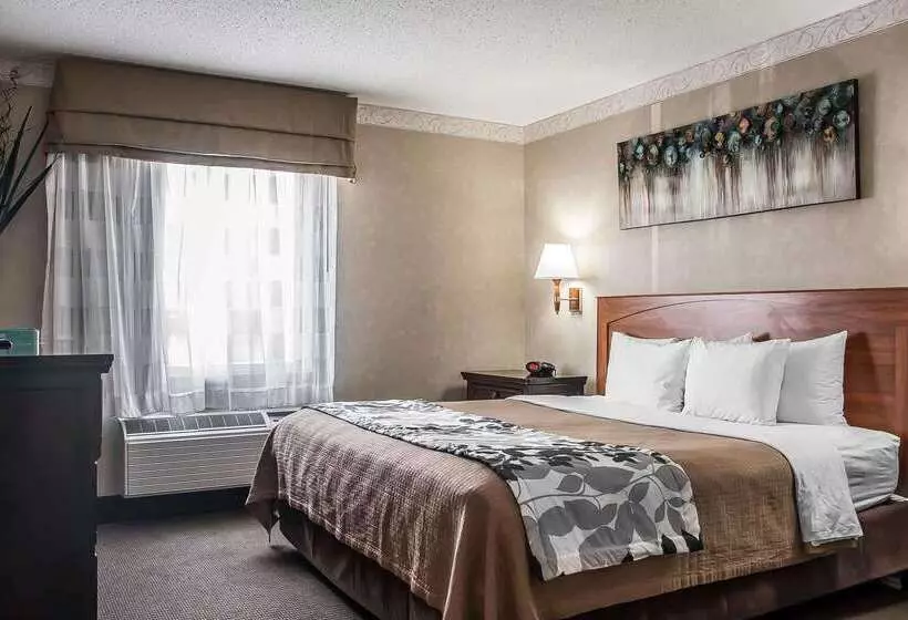 호텔 Sleep Inn & Suites Conference Center And Water Park