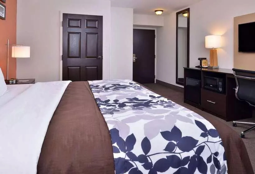 ホテル Sleep Inn