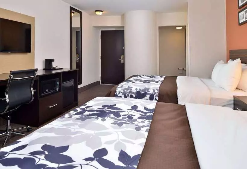ホテル Sleep Inn