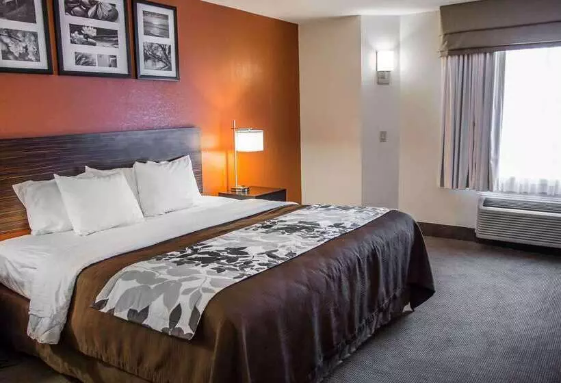 ホテル Sleep Inn