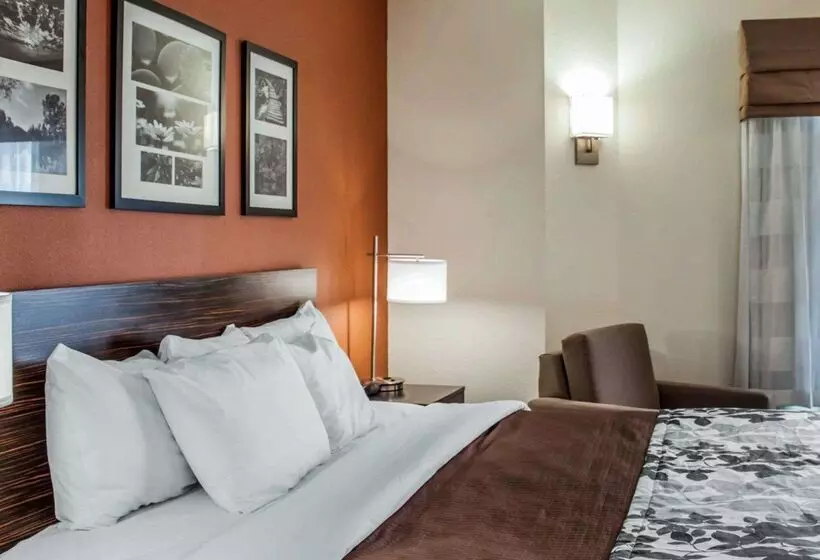 هتل Sleep Inn North Charleston Ashley Phosphate