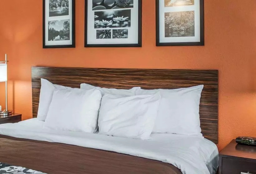 هتل Sleep Inn North Charleston Ashley Phosphate