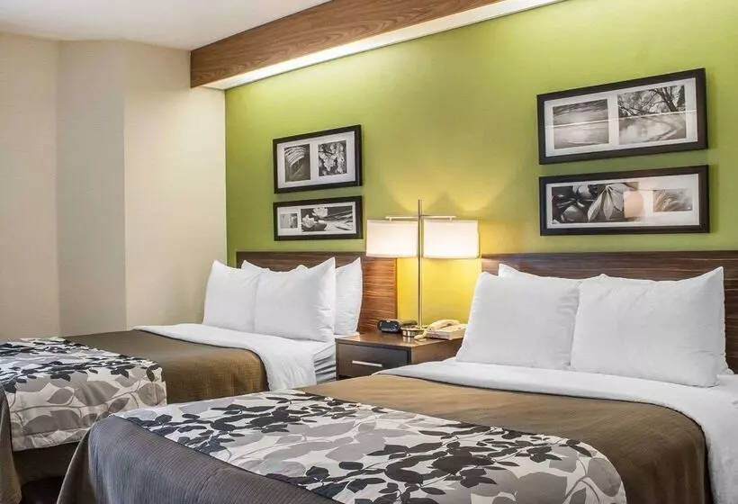 酒店 Sleep Inn Sea Tac Airport