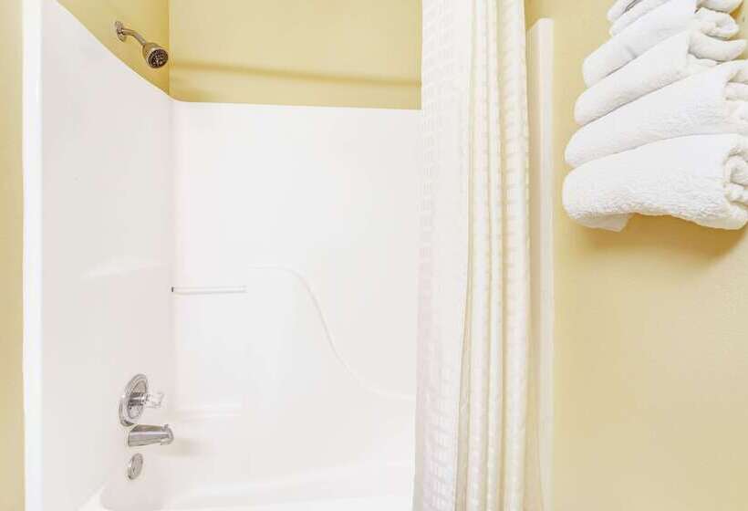 ホテル Super 8 By Wyndham Mckinney/plano Area