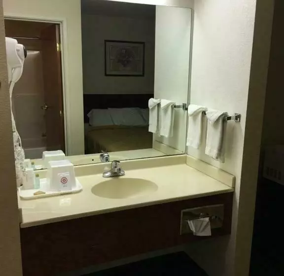 فندق على الطريق Arlington Inn And Suites