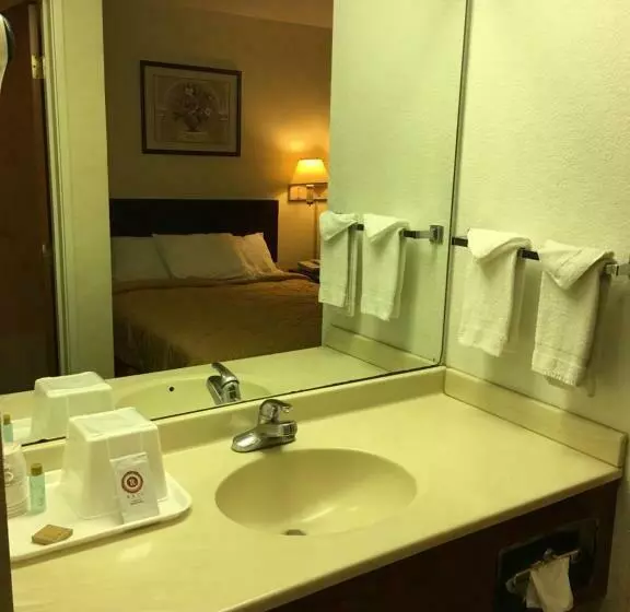 فندق على الطريق Arlington Inn And Suites