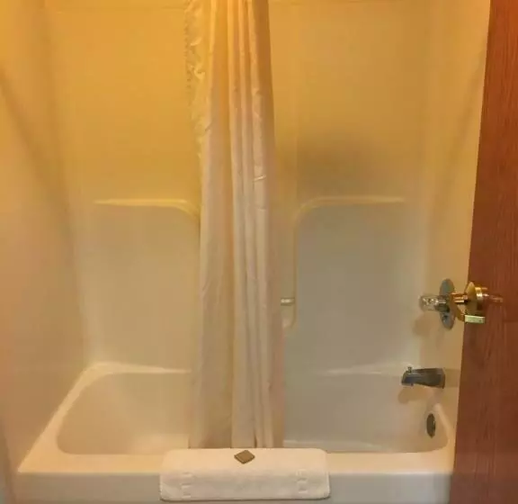 فندق على الطريق Arlington Inn And Suites