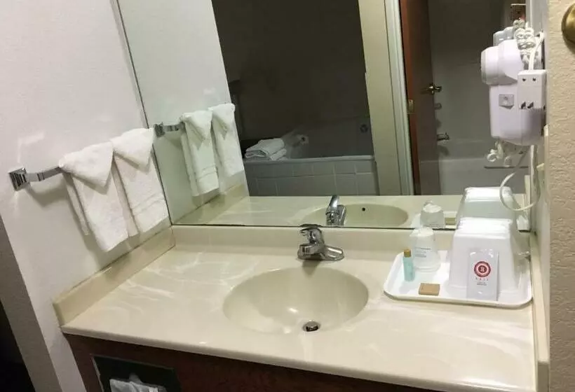 فندق على الطريق Arlington Inn And Suites