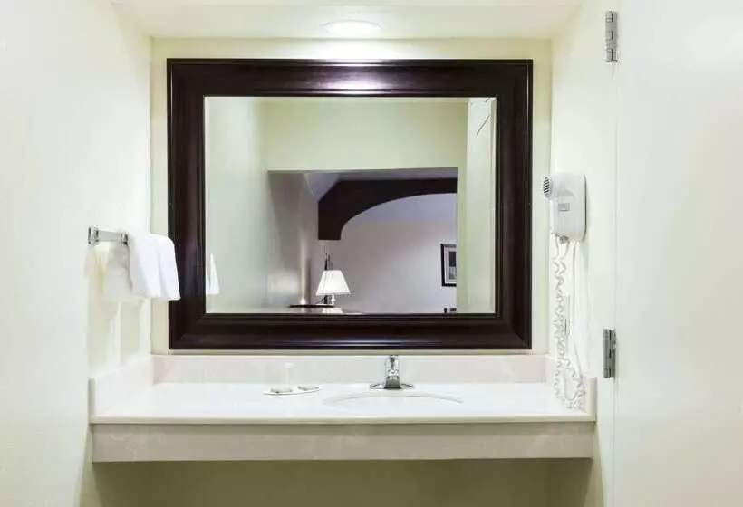 汽车旅馆 Super 8 By Wyndham Fairfield Tx