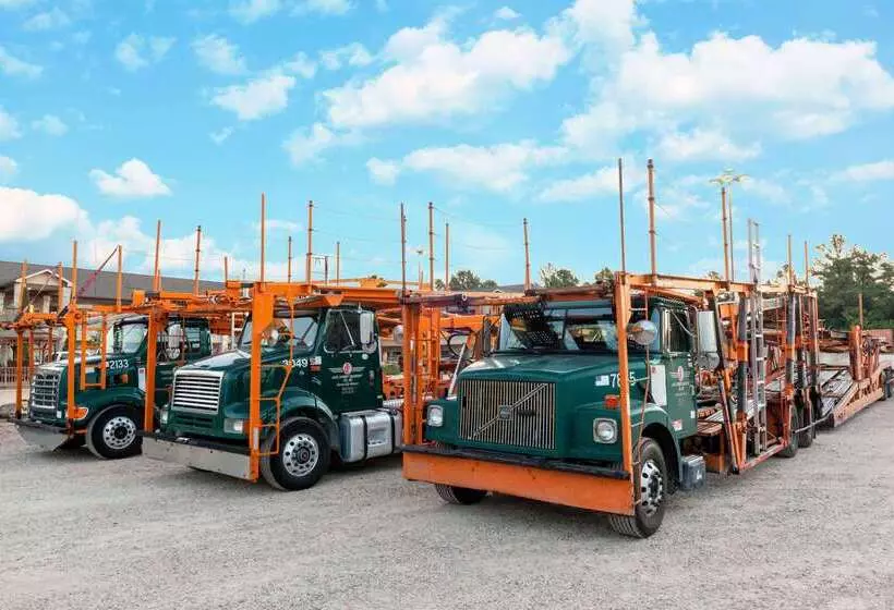 汽车旅馆 Super 8 By Wyndham Fairfield Tx