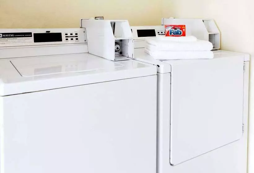 汽车旅馆 Super 8 By Wyndham Fairfield Tx