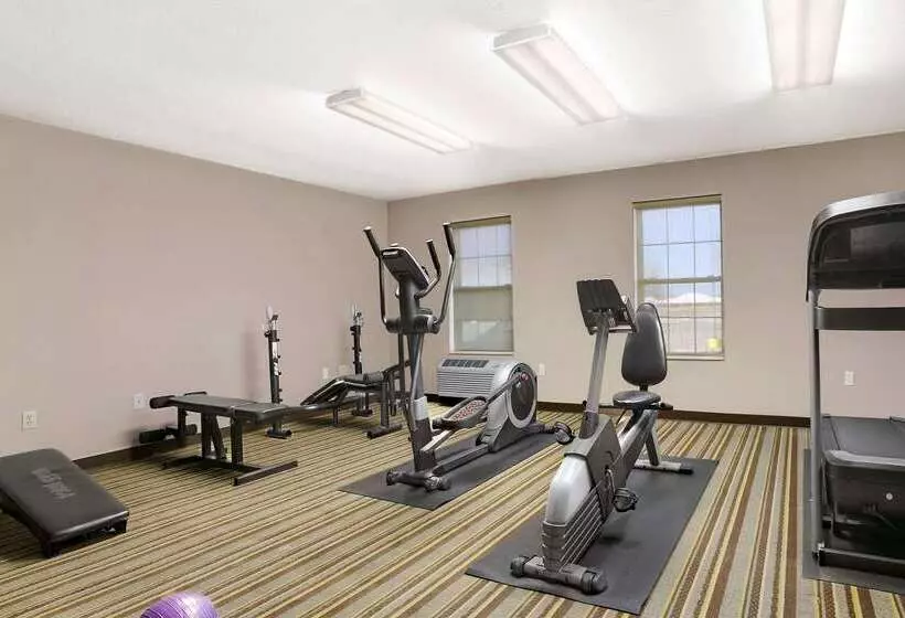 מוטל Super 8 By Wyndham Stafford/springfield Area