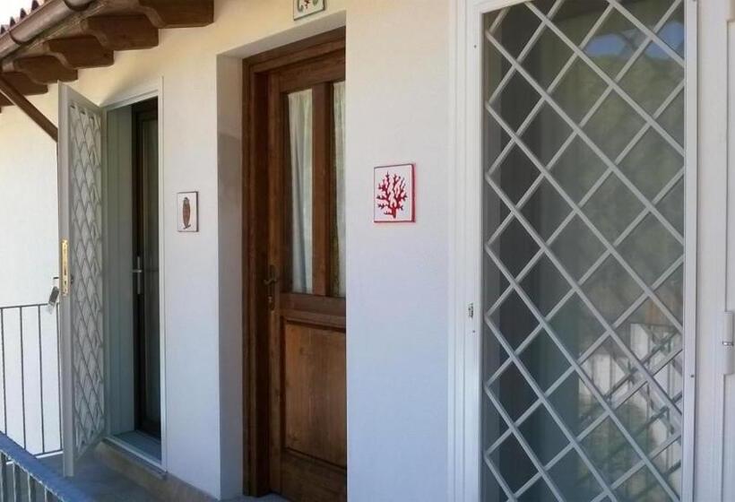 B&b Il Mirto Di Paola