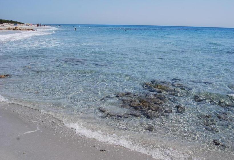 B&b Il Mirto Di Paola