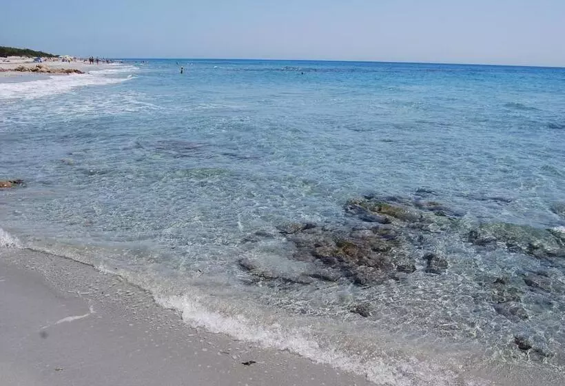 B&b Il Mirto Di Paola