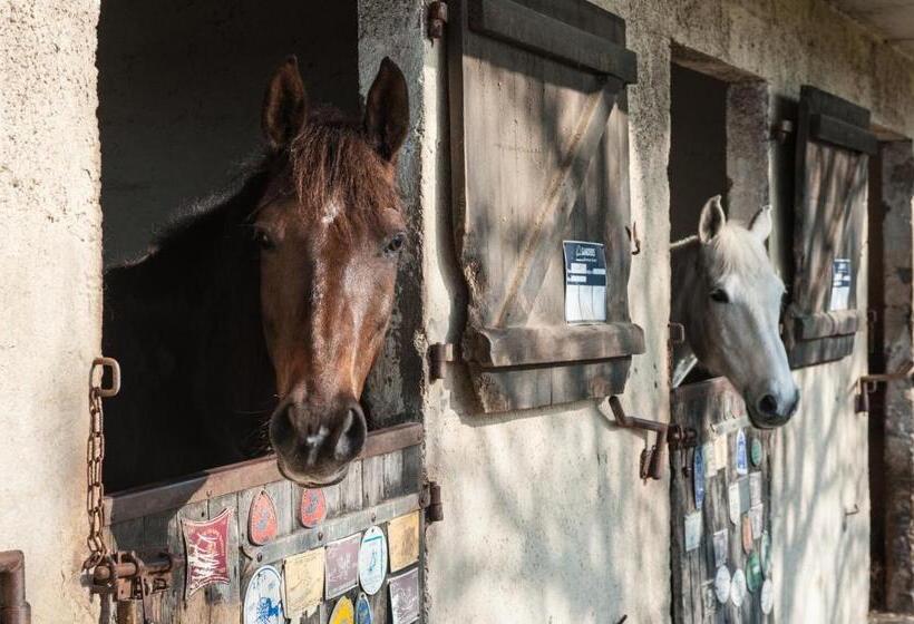 تختخواب و صبحانه Domaine Equestre Etretat