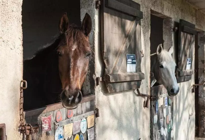 Aamiaismajoitus (B&B) Domaine Equestre Etretat