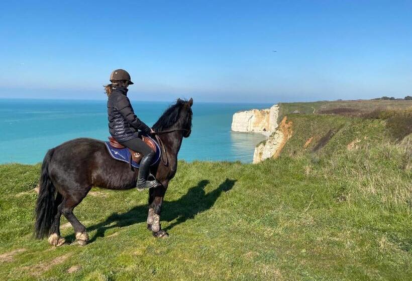 تختخواب و صبحانه Domaine Equestre Etretat