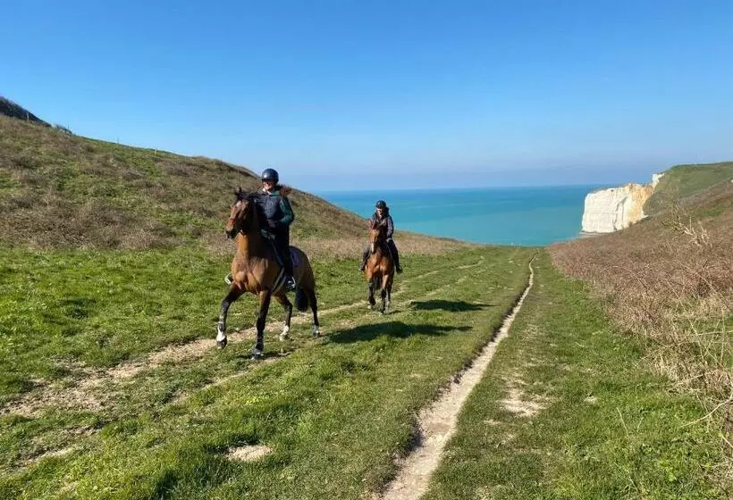 Aamiaismajoitus (B&B) Domaine Equestre Etretat